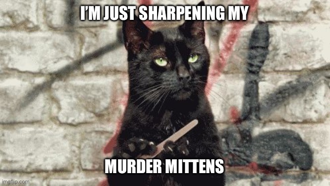 cat filing nails | I’M JUST SHARPENING MY; MURDER MITTENS | image tagged in cat filing nails | made w/ Imgflip meme maker