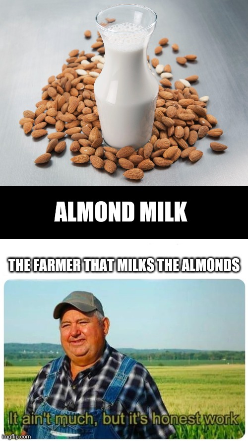 How do they even milk those things? | ALMOND MILK; THE FARMER THAT MILKS THE ALMONDS | image tagged in blank black,honest work | made w/ Imgflip meme maker