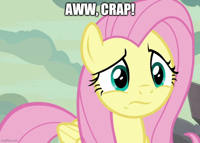 Fluttershy Was Puzzled (MLP) | AWW, CRAP! | image tagged in fluttershy was puzzled mlp | made w/ Imgflip meme maker