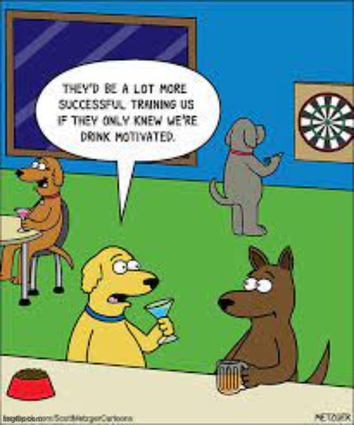 Just Like Humans | image tagged in memes,comics,dogs,success,drink,motivation | made w/ Imgflip meme maker