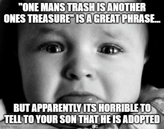 Baby |  ''ONE MANS TRASH IS ANOTHER ONES TREASURE'' IS A GREAT PHRASE... BUT APPARENTLY ITS HORRIBLE TO TELL TO YOUR SON THAT HE IS ADOPTED | image tagged in memes,sad baby | made w/ Imgflip meme maker