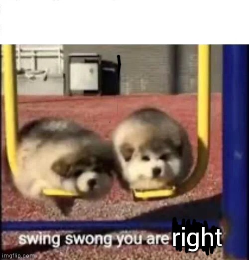 SWING SWONG YOU ARE WRONG | right | image tagged in swing swong you are wrong | made w/ Imgflip meme maker