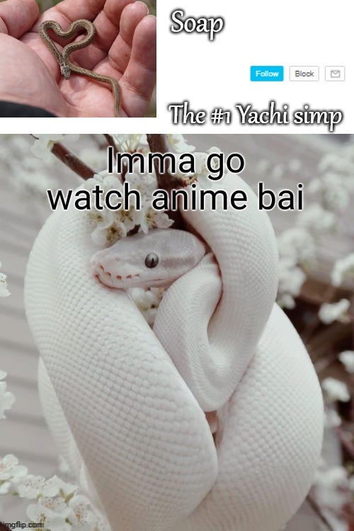 Imma go watch anime bai | image tagged in soap snake temp ty yachi | made w/ Imgflip meme maker