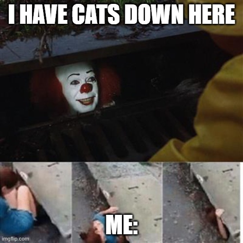 =＾● ⋏ ●＾= | I HAVE CATS DOWN HERE; ME: | image tagged in pennywise in sewer | made w/ Imgflip meme maker