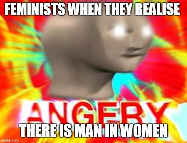 Surreal Angery | FEMINISTS WHEN THEY REALISE; THERE IS MAN IN WOMEN | image tagged in surreal angery,relatable | made w/ Imgflip meme maker