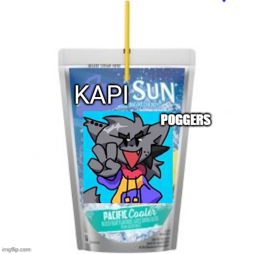 Kapisun | POGGERS | image tagged in kapisun | made w/ Imgflip meme maker