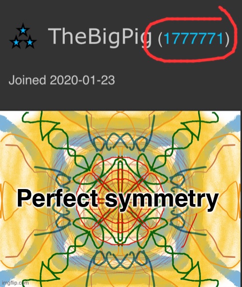 177777777777777771 | Perfect symmetry | image tagged in symmetry is weird man,thebigpig | made w/ Imgflip meme maker