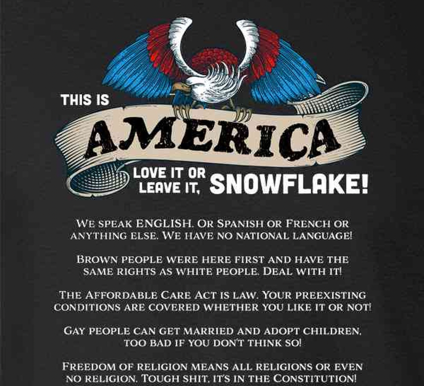 High Quality America love it or leave it snowflake Blank Meme Template