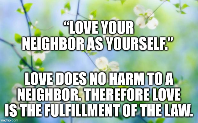 Love your neighbor | “LOVE YOUR NEIGHBOR AS YOURSELF.”; LOVE DOES NO HARM TO A NEIGHBOR. THEREFORE LOVE IS THE FULFILLMENT OF THE LAW. | image tagged in flowers | made w/ Imgflip meme maker
