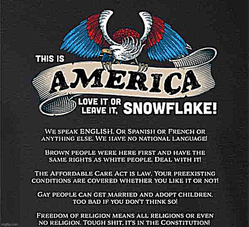 America love it or leave it snowflake | image tagged in america love it or leave it snowflake | made w/ Imgflip meme maker