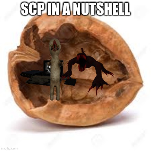 In a nut shell | SCP IN A NUTSHELL | image tagged in scp,in,a,nutshell | made w/ Imgflip meme maker