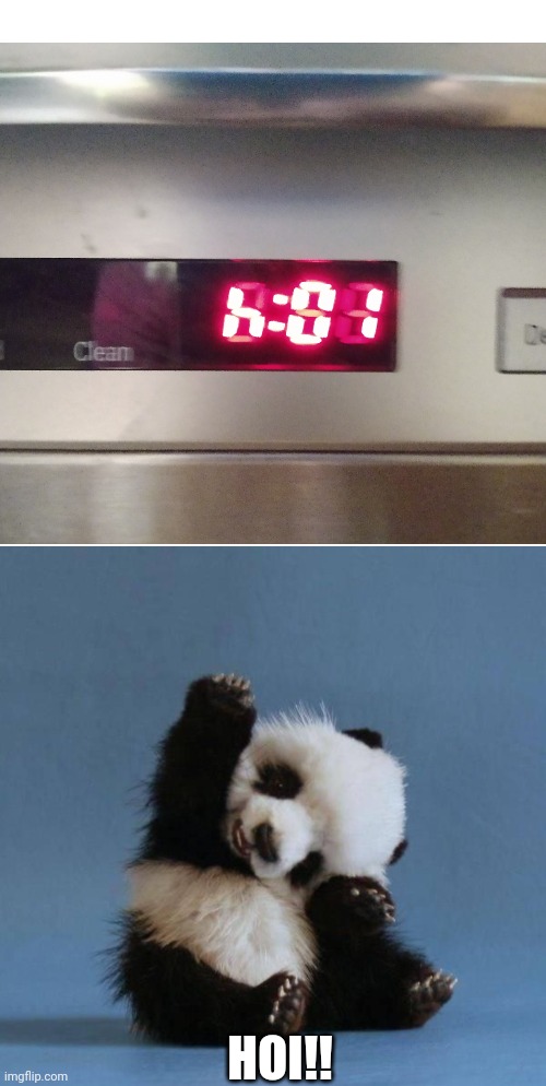 My dishwasher says hi | HOI!! | image tagged in memes,blank transparent square,panda | made w/ Imgflip meme maker