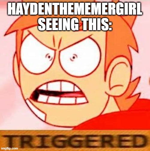 tord is triggered | HAYDENTHEMEMERGIRL SEEING THIS: | image tagged in tord is triggered | made w/ Imgflip meme maker