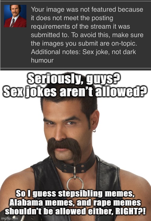 Pick a lane, mods. | Seriously, guys?  Sex jokes aren’t allowed? So I guess stepsibling memes, Alabama memes, and rape memes shouldn’t be allowed either, RIGHT?! | image tagged in leather mustache,idiot mods,funny,memes | made w/ Imgflip meme maker