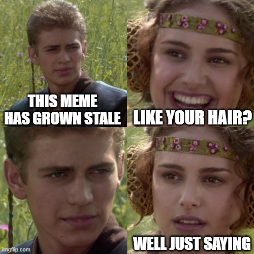 It's Stale Anakin | THIS MEME HAS GROWN STALE; LIKE YOUR HAIR? WELL JUST SAYING | image tagged in bad hair,stale,anakin stale | made w/ Imgflip meme maker