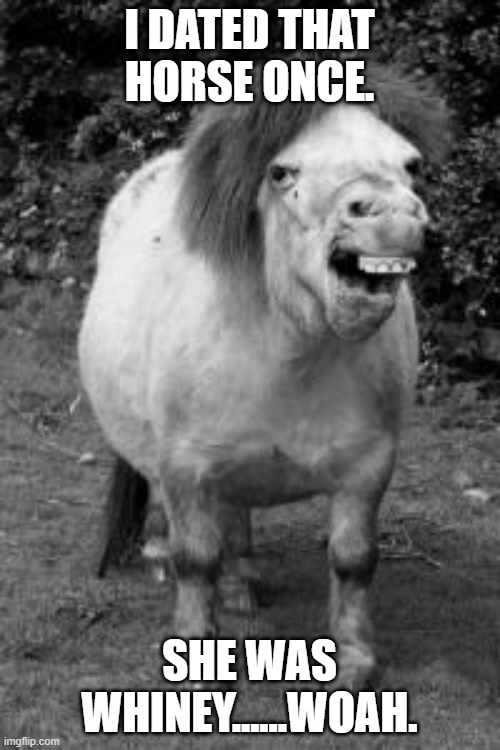 ugly horse | I DATED THAT HORSE ONCE. SHE WAS WHINEY......WOAH. | image tagged in ugly horse | made w/ Imgflip meme maker
