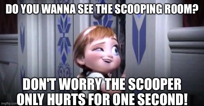 Do you wanna see the scooping room? | DO YOU WANNA SEE THE SCOOPING ROOM? DON'T WORRY THE SCOOPER ONLY HURTS FOR ONE SECOND! | image tagged in frozen little anna | made w/ Imgflip meme maker