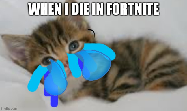 WHEN I DIE IN FORTNITE | image tagged in cat | made w/ Imgflip meme maker