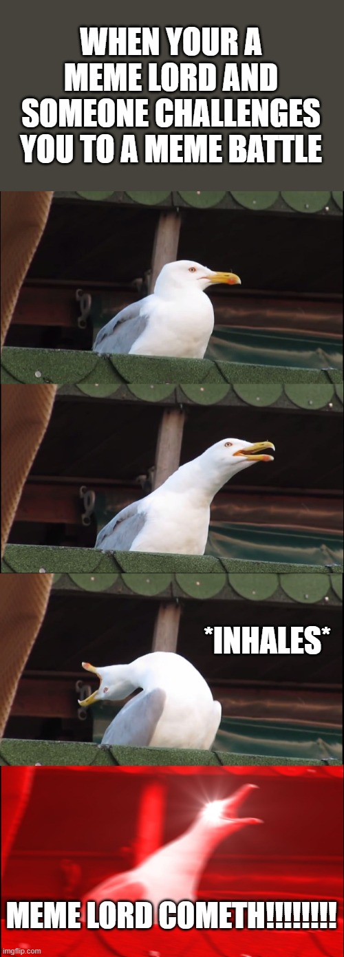 Meme lord cometh | WHEN YOUR A MEME LORD AND SOMEONE CHALLENGES YOU TO A MEME BATTLE; *INHALES*; MEME LORD COMETH!!!!!!!! | image tagged in memes,inhaling seagull | made w/ Imgflip meme maker