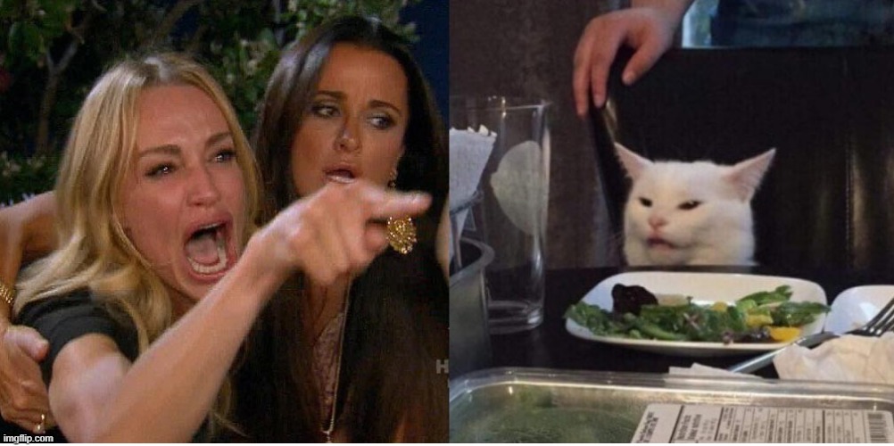 salad cat | image tagged in salad cat | made w/ Imgflip meme maker