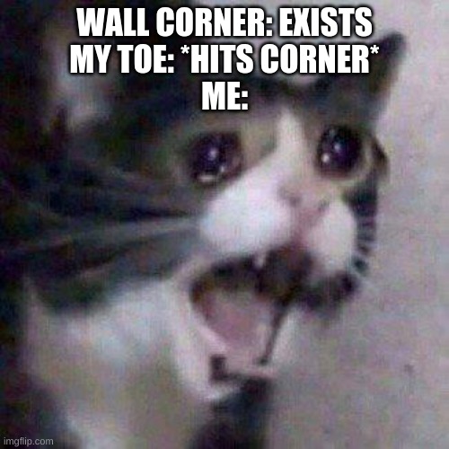 Cat Screaming | WALL CORNER: EXISTS
MY TOE: *HITS CORNER*
ME: | image tagged in cat screaming | made w/ Imgflip meme maker