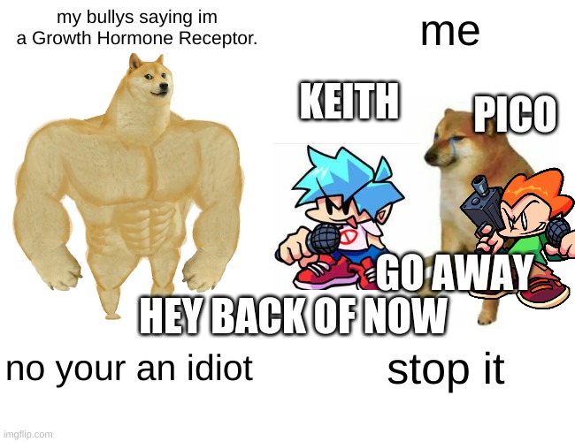 Buff Doge vs. Cheems Meme | my bullys saying im a Growth Hormone Receptor. me; KEITH; PICO; GO AWAY; HEY BACK OF NOW; no your an idiot; stop it | image tagged in memes,buff doge vs cheems | made w/ Imgflip meme maker