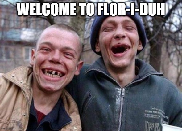 Ugly Twins Meme | WELCOME TO FLOR-I-DUH | image tagged in memes,ugly twins | made w/ Imgflip meme maker