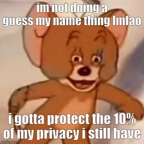 Polish Jerry | im not doing a guess my name thing lmfao; i gotta protect the 10% of my privacy i still have | image tagged in polish jerry | made w/ Imgflip meme maker