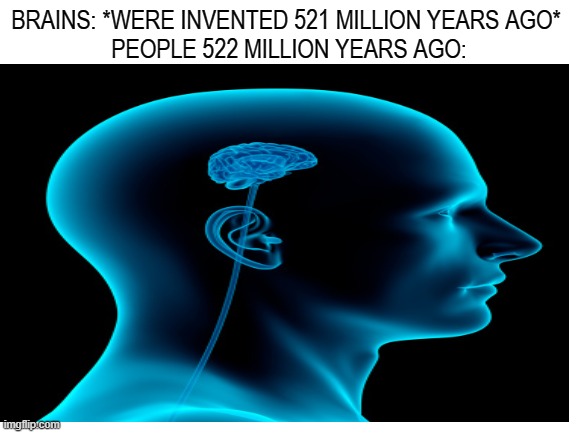 BRAINS: *WERE INVENTED 521 MILLION YEARS AGO* 
PEOPLE 522 MILLION YEARS AGO: | image tagged in no brain,dumb,memes | made w/ Imgflip meme maker