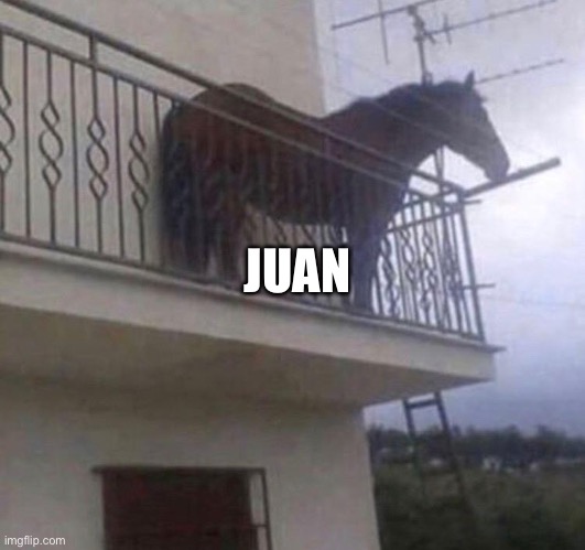 Juan | JUAN | image tagged in juan | made w/ Imgflip meme maker