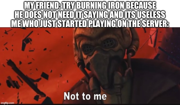 Not to me | MY FRIEND: TRY BURNING IRON BECAUSE HE DOES NOT NEED IT SAYING AND ITS USELESS
ME WHO JUST STARTED PLAYING ON THE SERVER: | image tagged in not to me | made w/ Imgflip meme maker