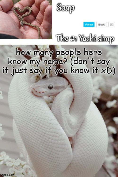 how many people here know my name? (don't say it just say if you know it xD) | image tagged in soap snake temp ty yachi | made w/ Imgflip meme maker