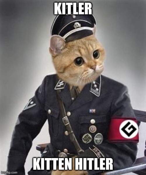Grammar Nazi Cat | KITLER; KITTEN HITLER | image tagged in grammar nazi cat | made w/ Imgflip meme maker