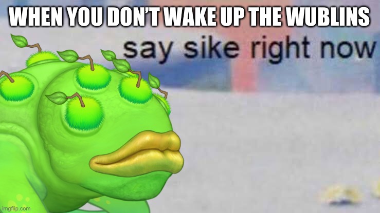 Me when the | WHEN YOU DON’T WAKE UP THE WUBLINS | image tagged in brump say sike right now | made w/ Imgflip meme maker