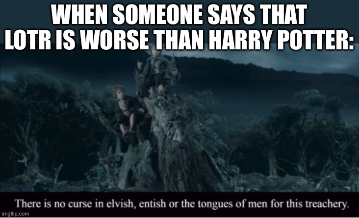 Truly no curse | WHEN SOMEONE SAYS THAT LOTR IS WORSE THAN HARRY POTTER: | image tagged in memes | made w/ Imgflip meme maker