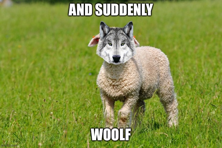 (Title) | AND SUDDENLY; WOOLF | image tagged in and suddenly,woolf,bad pun | made w/ Imgflip meme maker