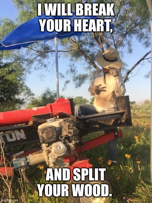 Wood | I WILL BREAK YOUR HEART, AND SPLIT YOUR WOOD. | image tagged in memes | made w/ Imgflip meme maker