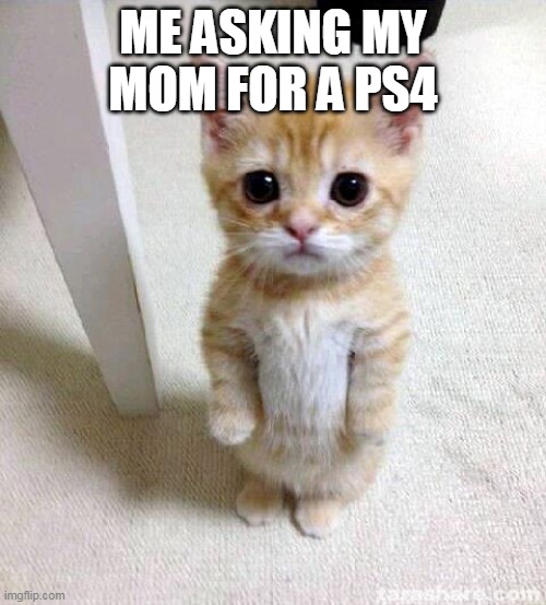 Cute Cat | ME ASKING MY MOM FOR A PS4 | image tagged in memes,cute cat | made w/ Imgflip meme maker
