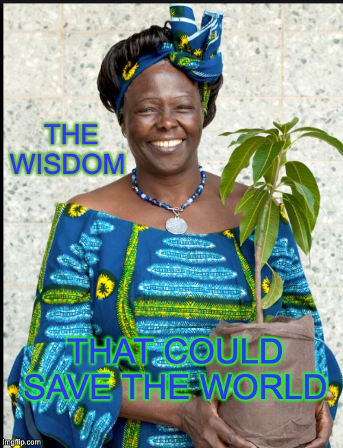 Thanks to the hater who challenged me to show glory (too bad he can't see it) | THE WISDOM; THAT COULD SAVE THE WORLD | image tagged in black,africa,women,glory,power | made w/ Imgflip meme maker