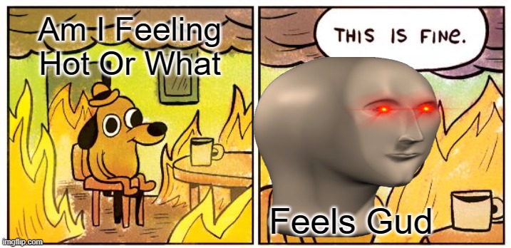 This Is Fine Meme | Am I Feeling Hot Or What; Feels Gud | image tagged in memes,this is fine | made w/ Imgflip meme maker