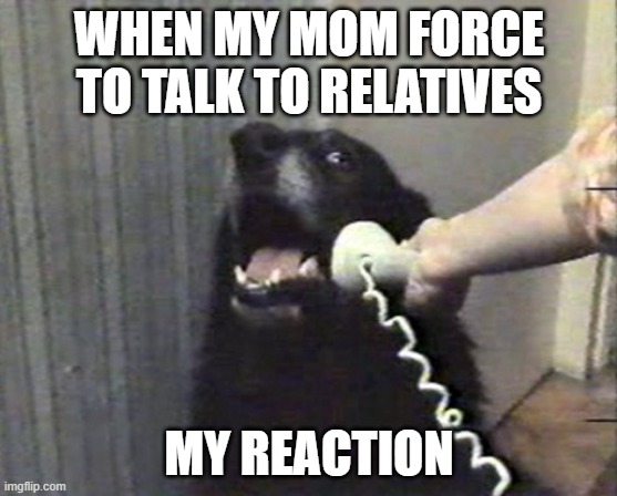 funny meme | WHEN MY MOM FORCE TO TALK TO RELATIVES; MY REACTION | image tagged in hello this is dog | made w/ Imgflip meme maker