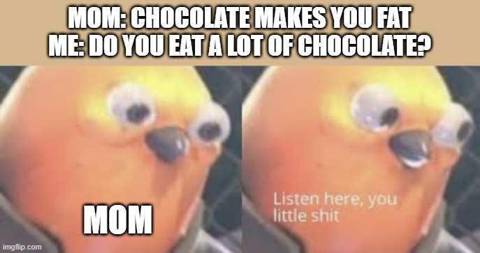 Listen here you little shit bird | MOM: CHOCOLATE MAKES YOU FAT
ME: DO YOU EAT A LOT OF CHOCOLATE? MOM | image tagged in listen here you little shit bird | made w/ Imgflip meme maker