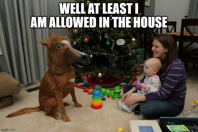 WELL AT LEAST I AM ALLOWED IN THE HOUSE | made w/ Imgflip meme maker