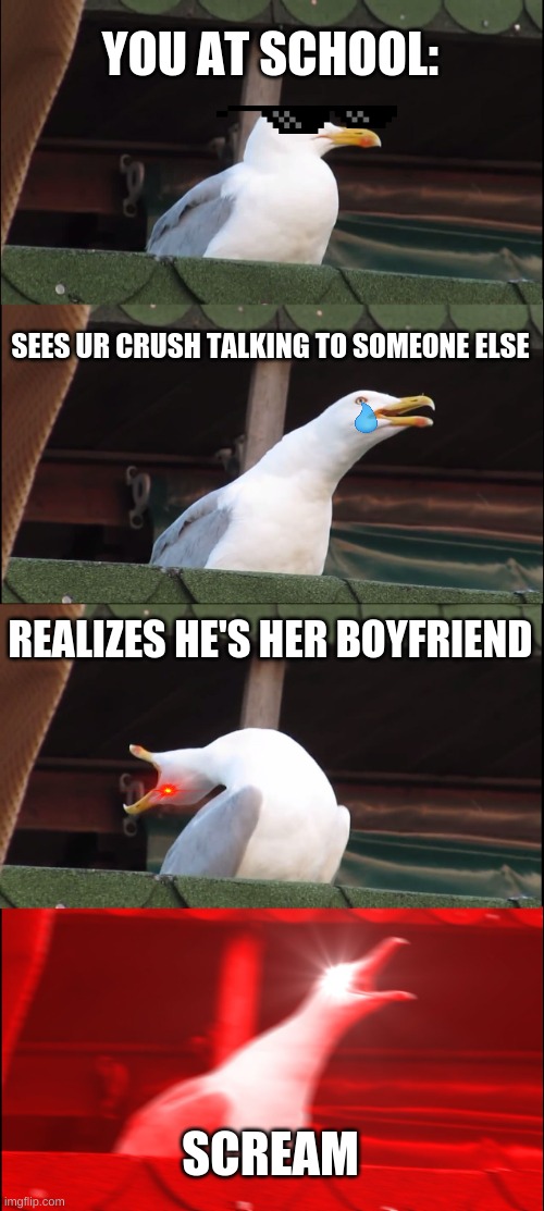 Inhaling Seagull | YOU AT SCHOOL:; SEES UR CRUSH TALKING TO SOMEONE ELSE; REALIZES HE'S HER BOYFRIEND; SCREAM | image tagged in memes,inhaling seagull | made w/ Imgflip meme maker