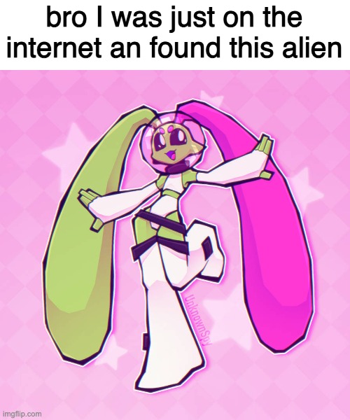 im not sure what to think | bro I was just on the internet an found this alien | made w/ Imgflip meme maker