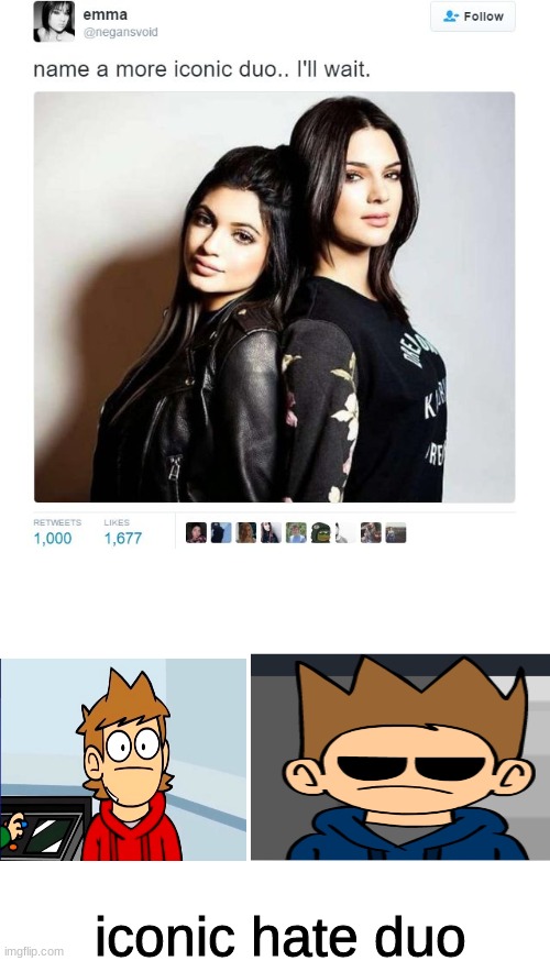 no ship | iconic hate duo | image tagged in name a more iconic duo,blank white template | made w/ Imgflip meme maker