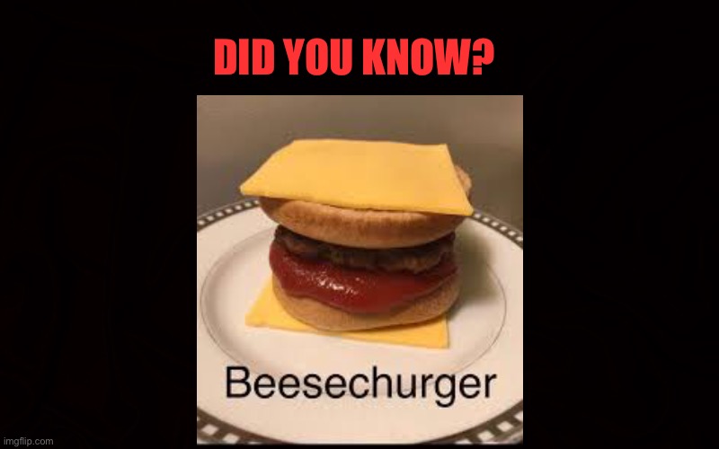 Beesechurger | DID YOU KNOW? | image tagged in did you know | made w/ Imgflip meme maker