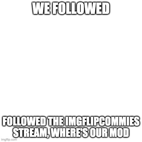 Blank Transparent Square | WE FOLLOWED; FOLLOWED THE IMGFLIPCOMMIES STREAM, WHERE'S OUR MOD | image tagged in memes,blank transparent square | made w/ Imgflip meme maker