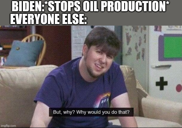 But why why would you do that? | BIDEN:*STOPS OIL PRODUCTION*; EVERYONE ELSE: | image tagged in but why why would you do that | made w/ Imgflip meme maker