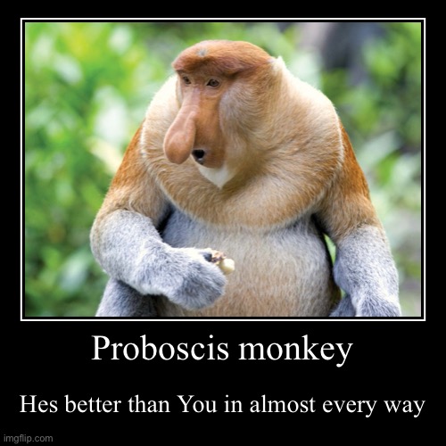 Proboscis Monkey | image tagged in funny,demotivationals,memes,fun,monkey | made w/ Imgflip demotivational maker